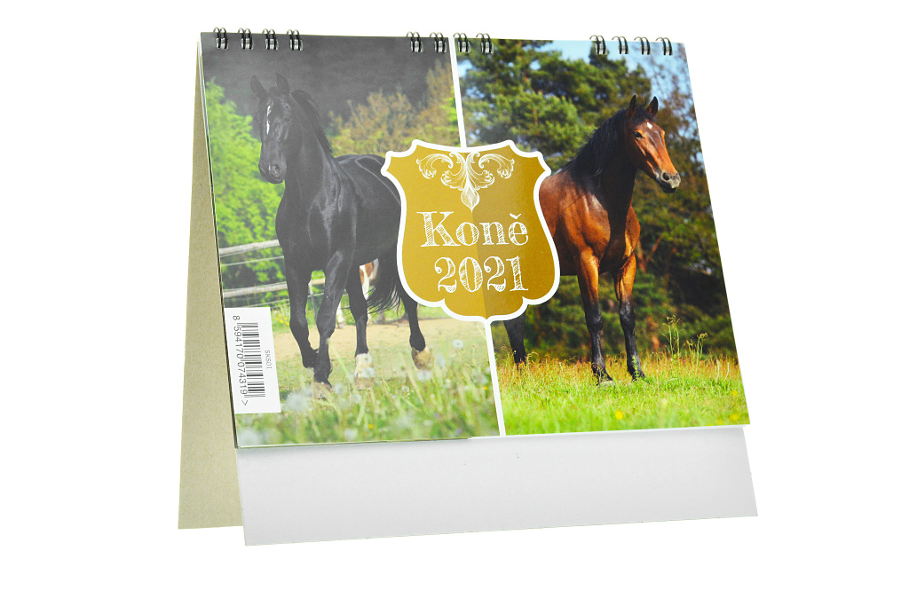 Kalendář 2021 (17x17.5cm) - Koně