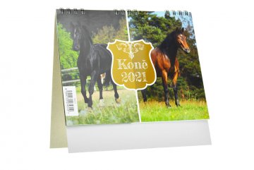 Kalendář 2021 (17x17.5cm) - Koně