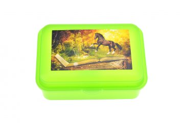 Svačinová krabička 180 x 130 x 70 mm, sny kůň, zelená