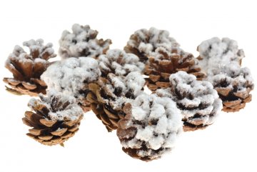 Vánoční dekorace FLORA (4-5cm) Set 12ks - Zasněžená šiška