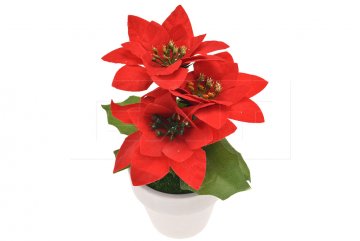 Vánoční dekorace v květináčku (15x7cm) - Vánoční hvězda