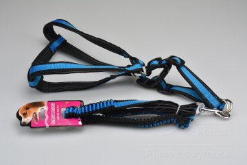 Postroj pro psy s elastickým vodítkem 2,5m - Modrý