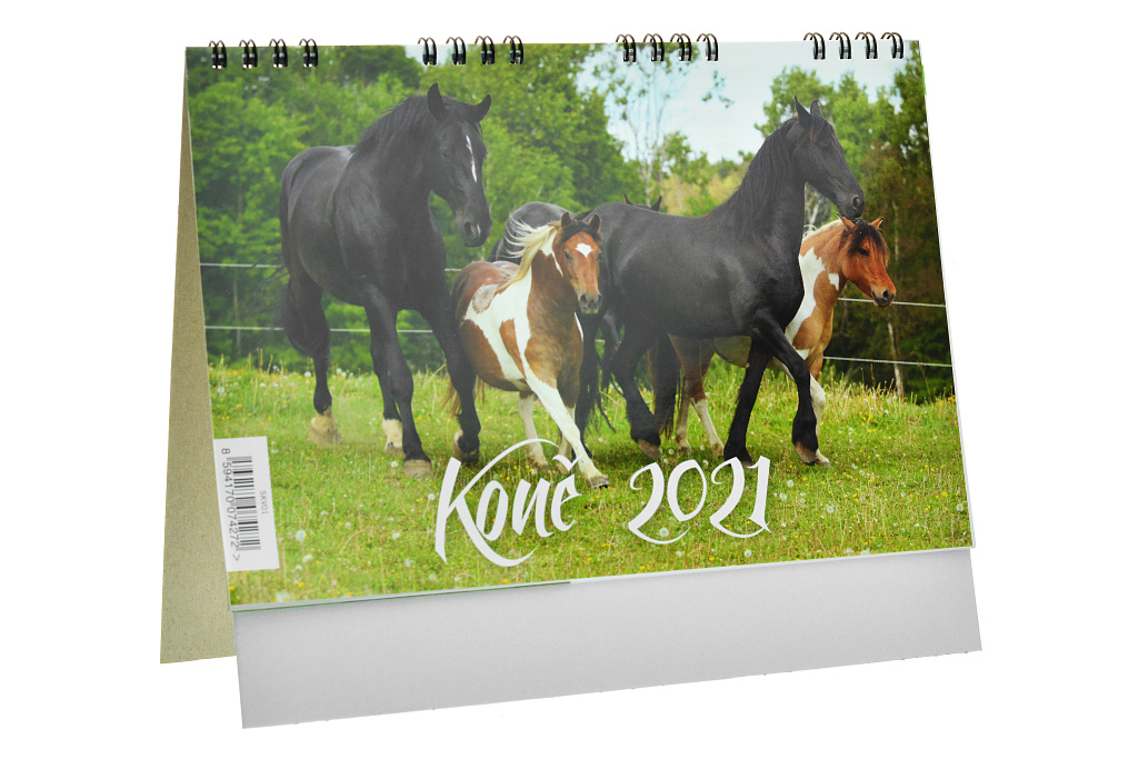 Kalendář 2021 (22x18cm) - Koně
