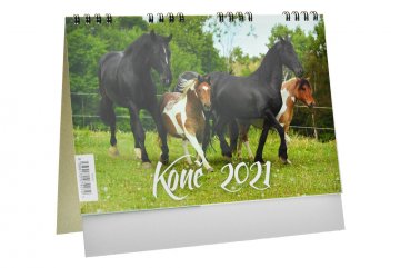Kalendář 2021 (22x18cm) - Koně