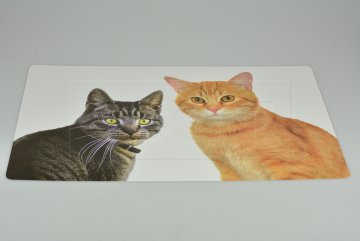 Velké vinylové prostírání (56x37cm) - Dvě kočky