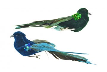 Ptáček na klipsu 17 cm 2 ks - Modrý a zelený
