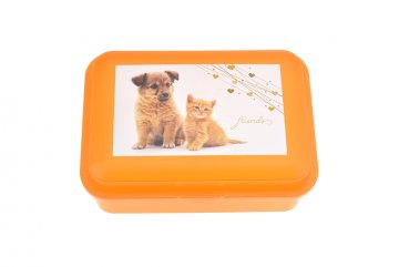 Krabička na svačinu 180 x 130 x 70 mm, mazlíčci, oranžová