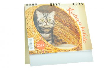 Kalendář 2021 (17x17.5cm) - Kočky a koťata