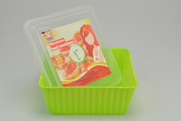 Plastová krabička do mikrovlnné trouby HAIXIN (2200ml) - Zelená